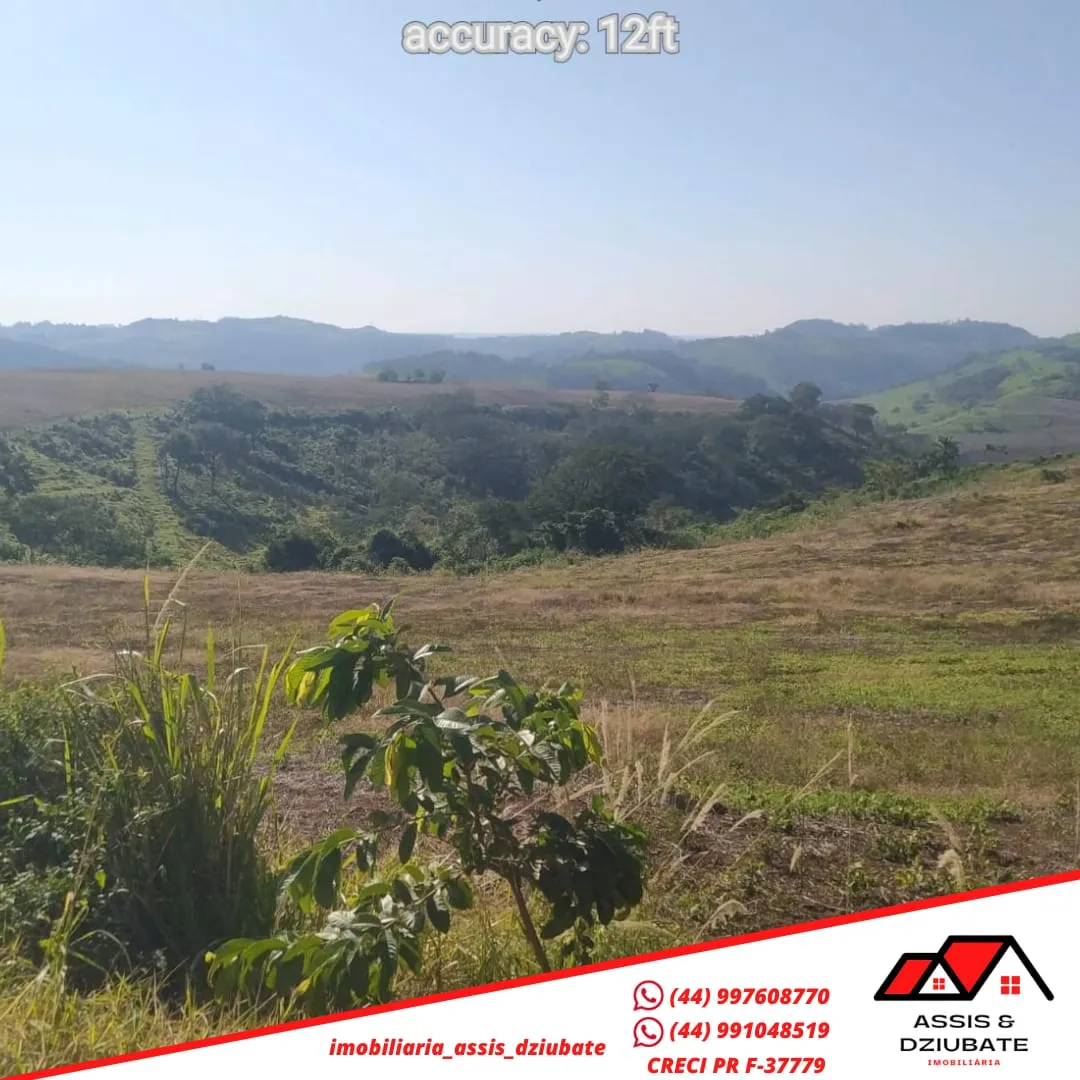 Sitio a venda em Iretama ! — foto 3