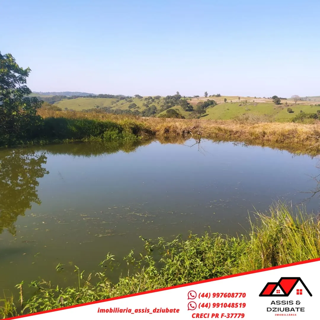 Sitio a venda em Iretama ! — foto 2