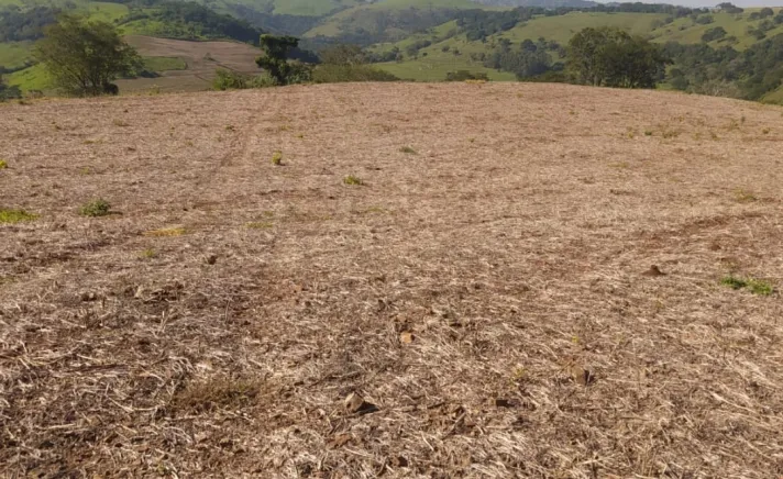 Sitio a venda em Iretama !