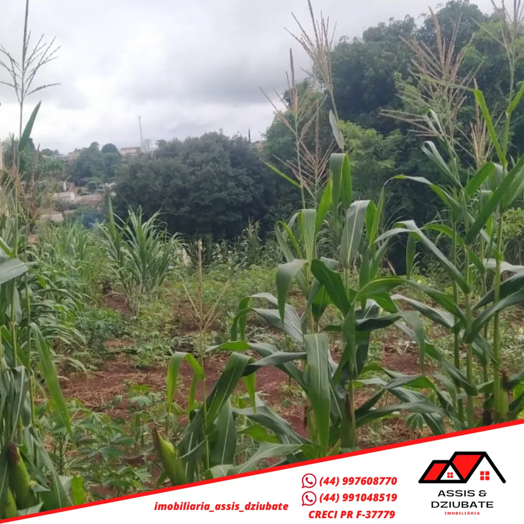 Terreno a venda perto da Coamo em Iretama PR! — foto 2