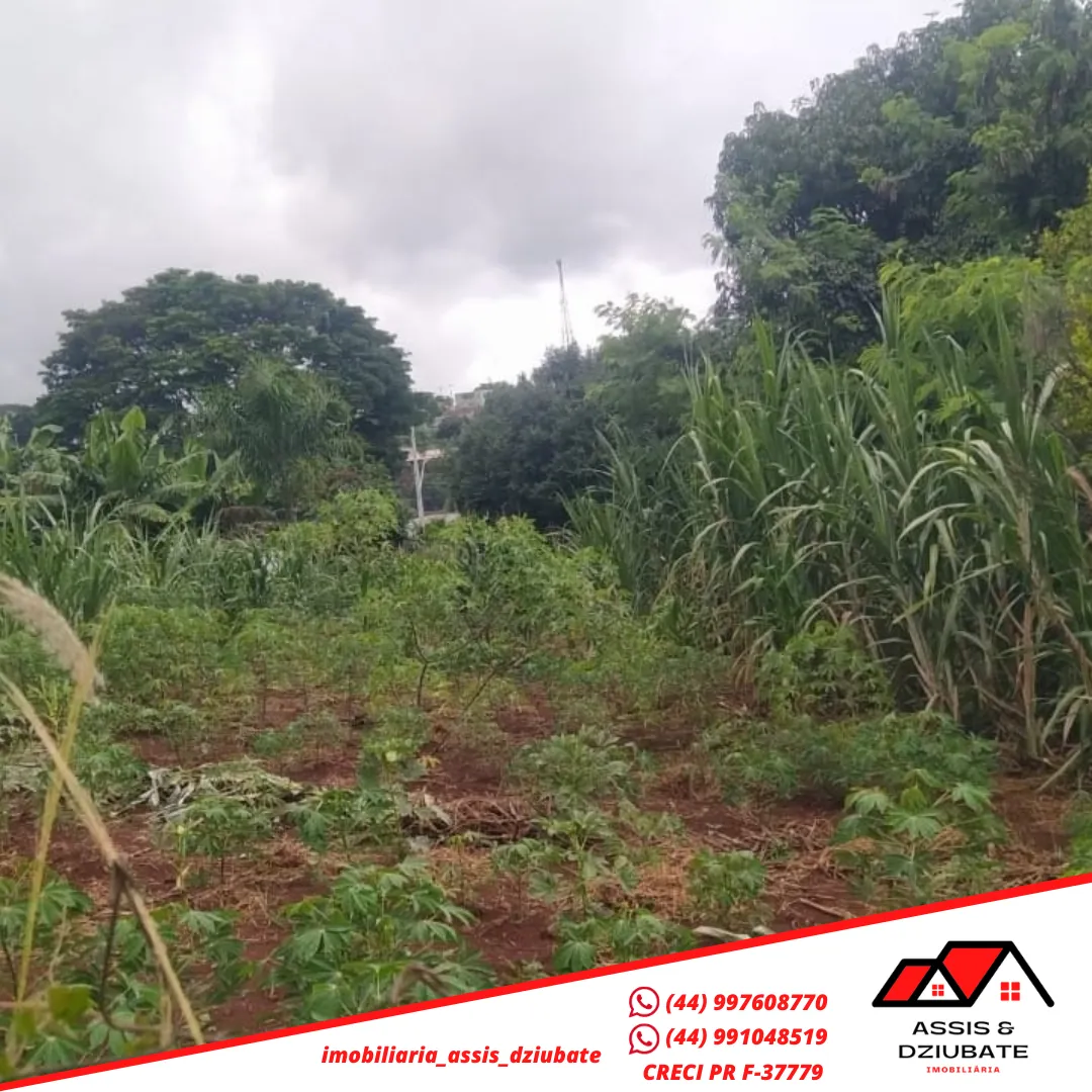 Terreno a venda perto da Coamo em Iretama PR! — foto 4