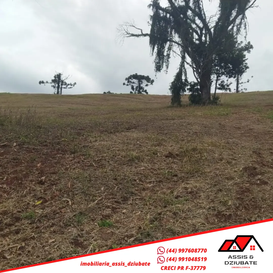 Ótima oportunidade de sítio a venda no Marilu em Iretama-PR!! — foto 6