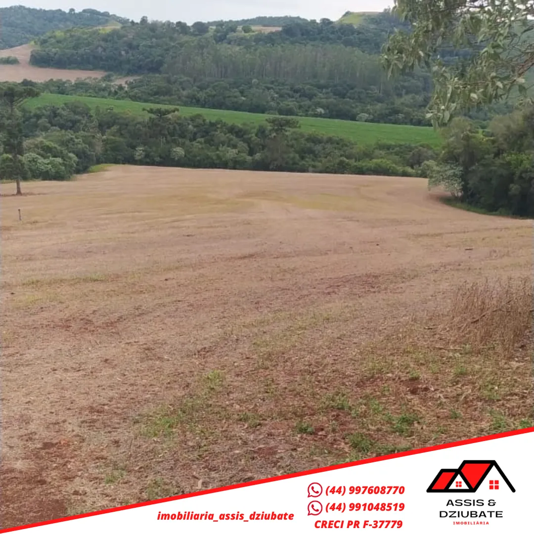 Ótima oportunidade de sítio a venda no Marilu em Iretama-PR!! — foto 8