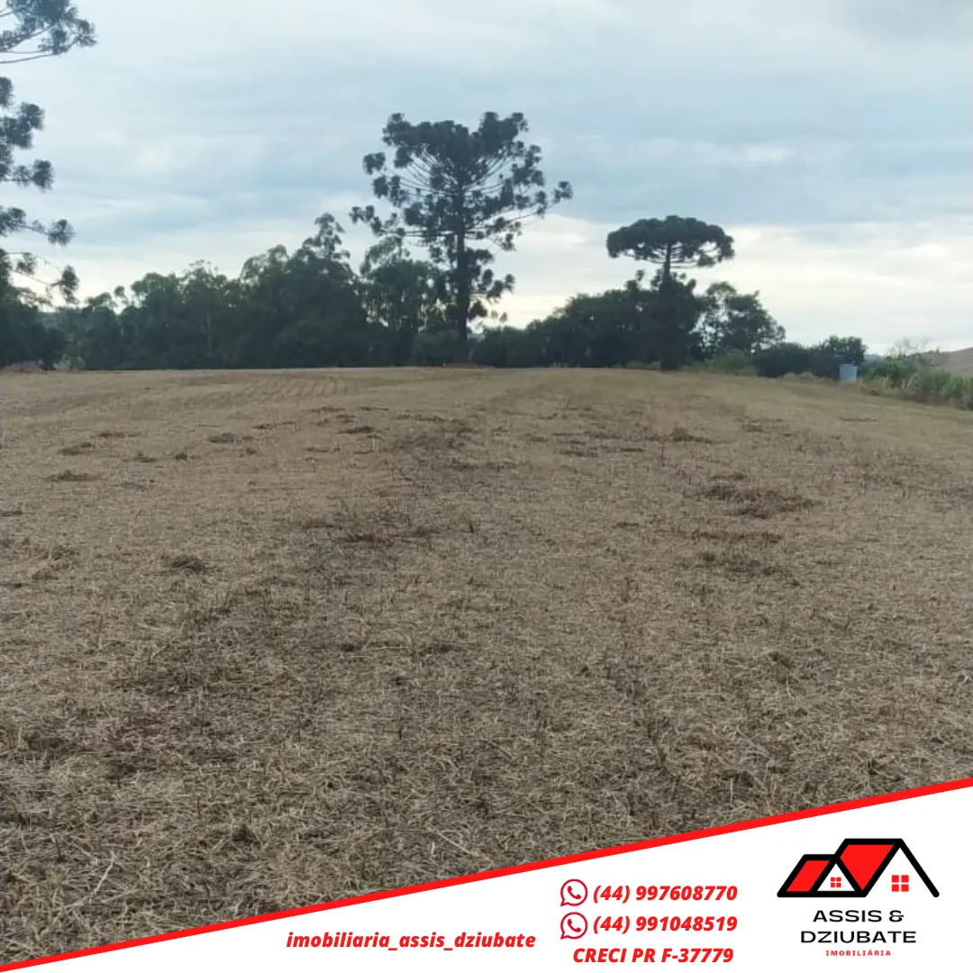 Ótima oportunidade de sítio a venda no Marilu em Iretama-PR!! — foto 7