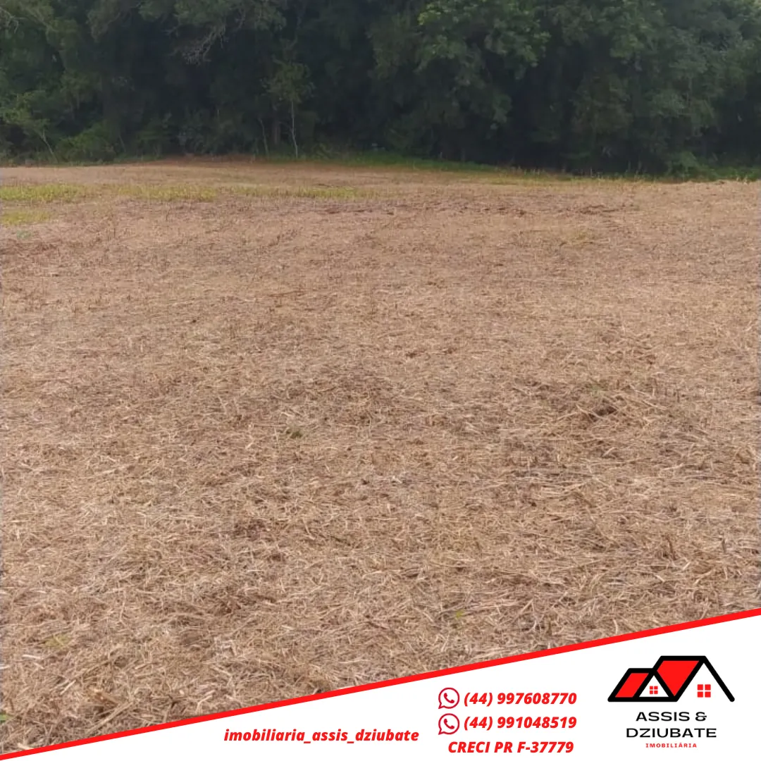 Ótima oportunidade de sítio a venda no Marilu em Iretama-PR!! — foto 2