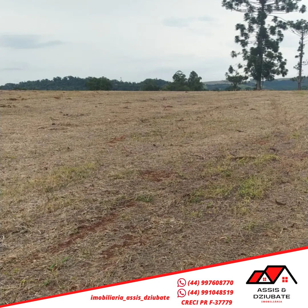 Ótima oportunidade de sítio a venda no Marilu em Iretama-PR!! — foto 4