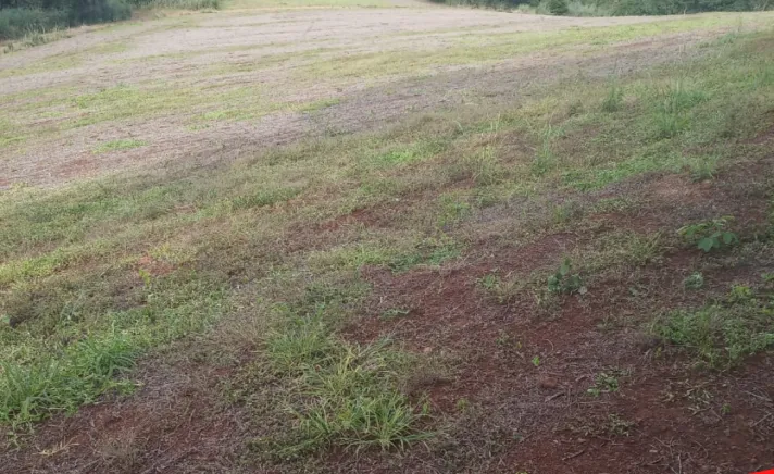Ótima oportunidade de sítio a venda em Iretama-PR!!