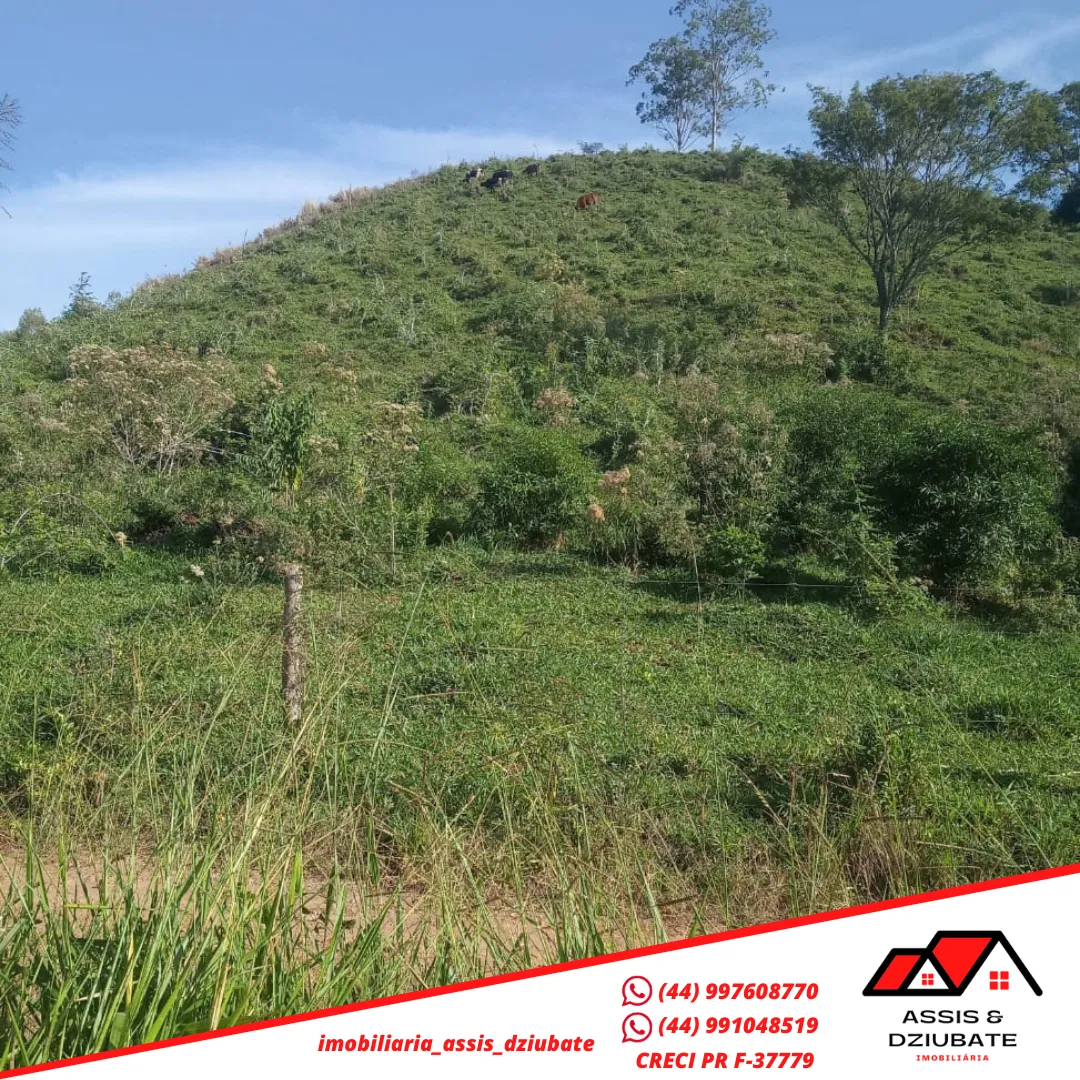 Ótima oportunidade de sítio a venda em Iretama-PR!! — foto 8