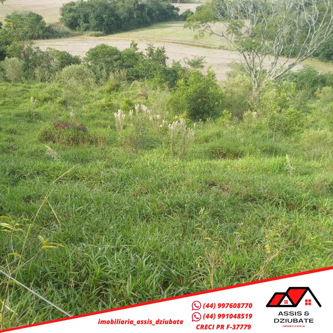 Ótima oportunidade de sítio a venda em Iretama-PR!! — foto 10