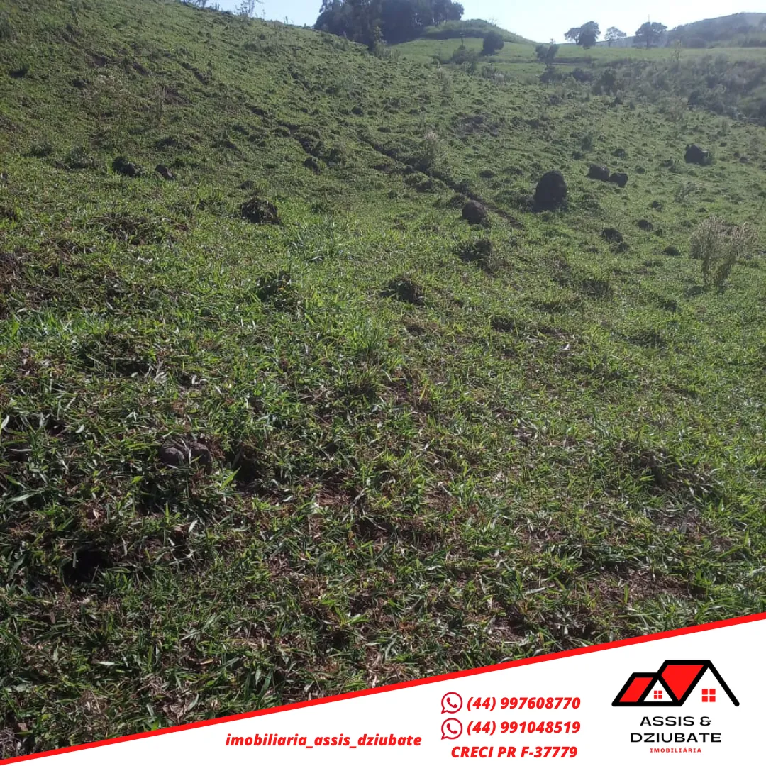 Ótima oportunidade de sítio a venda em Iretama-PR!! — foto 3