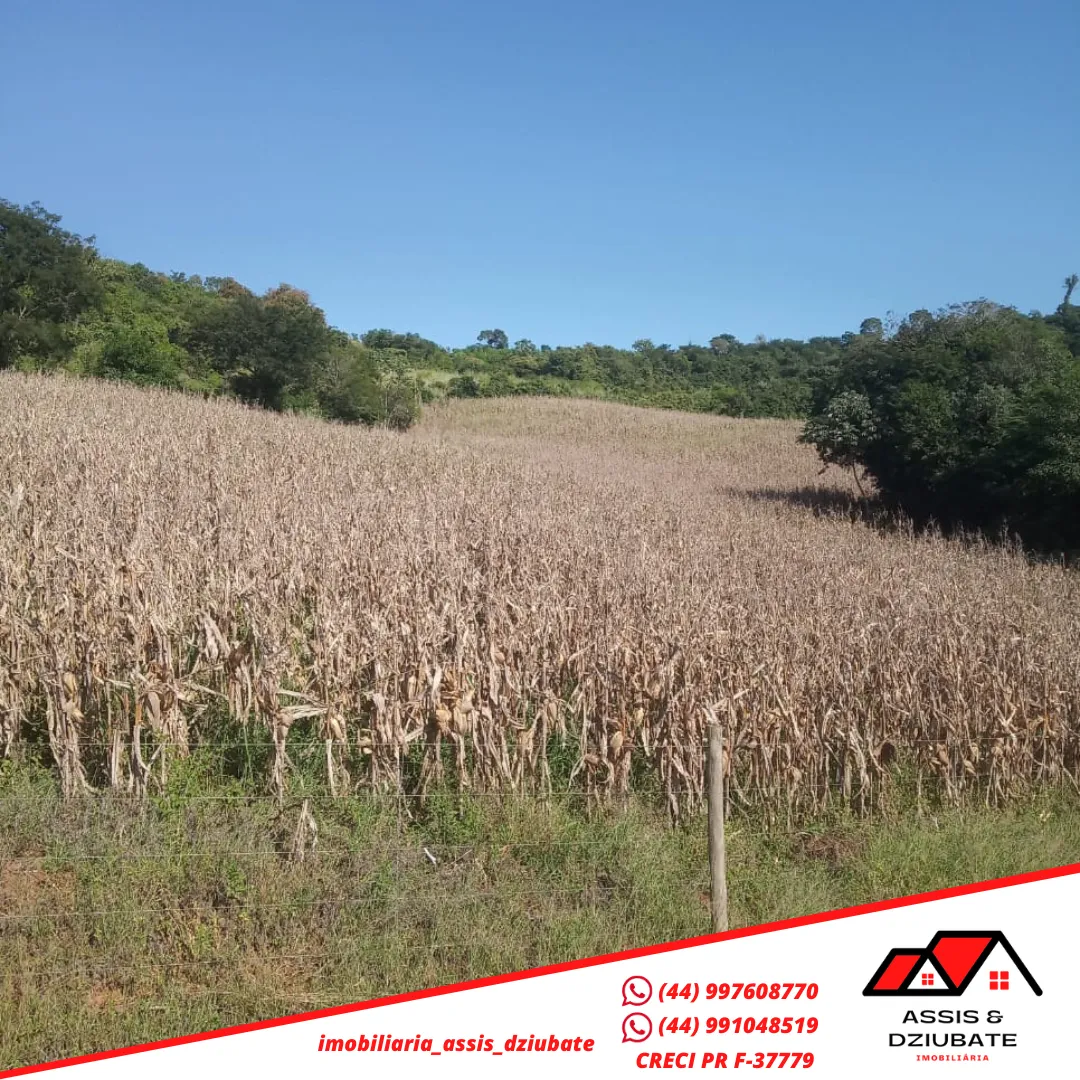 Ótima oportunidade de sítio a venda em Iretama-PR!! — foto 6