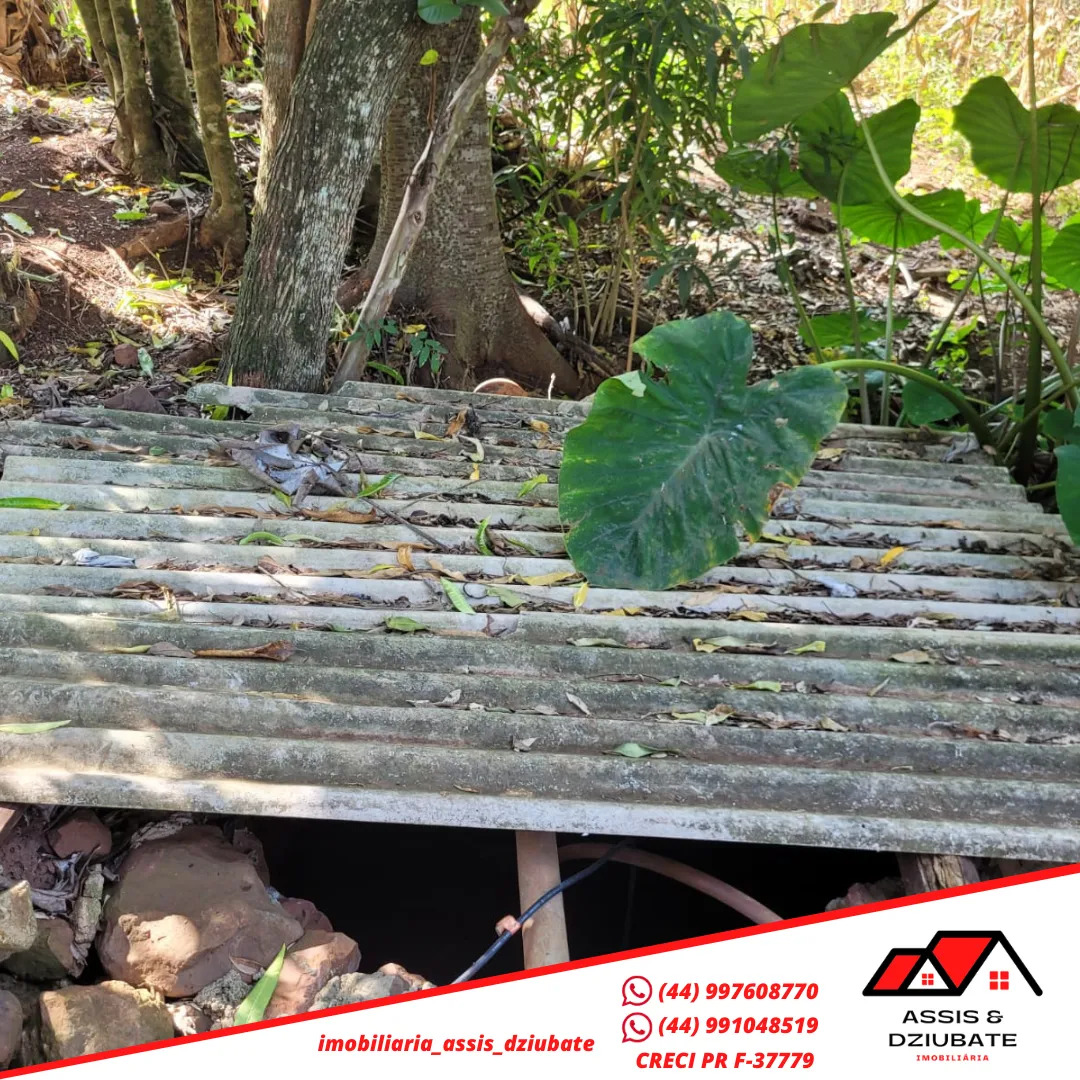 Ótima oportunidade de Chácara a venda em Iretama-PR!! — foto 4
