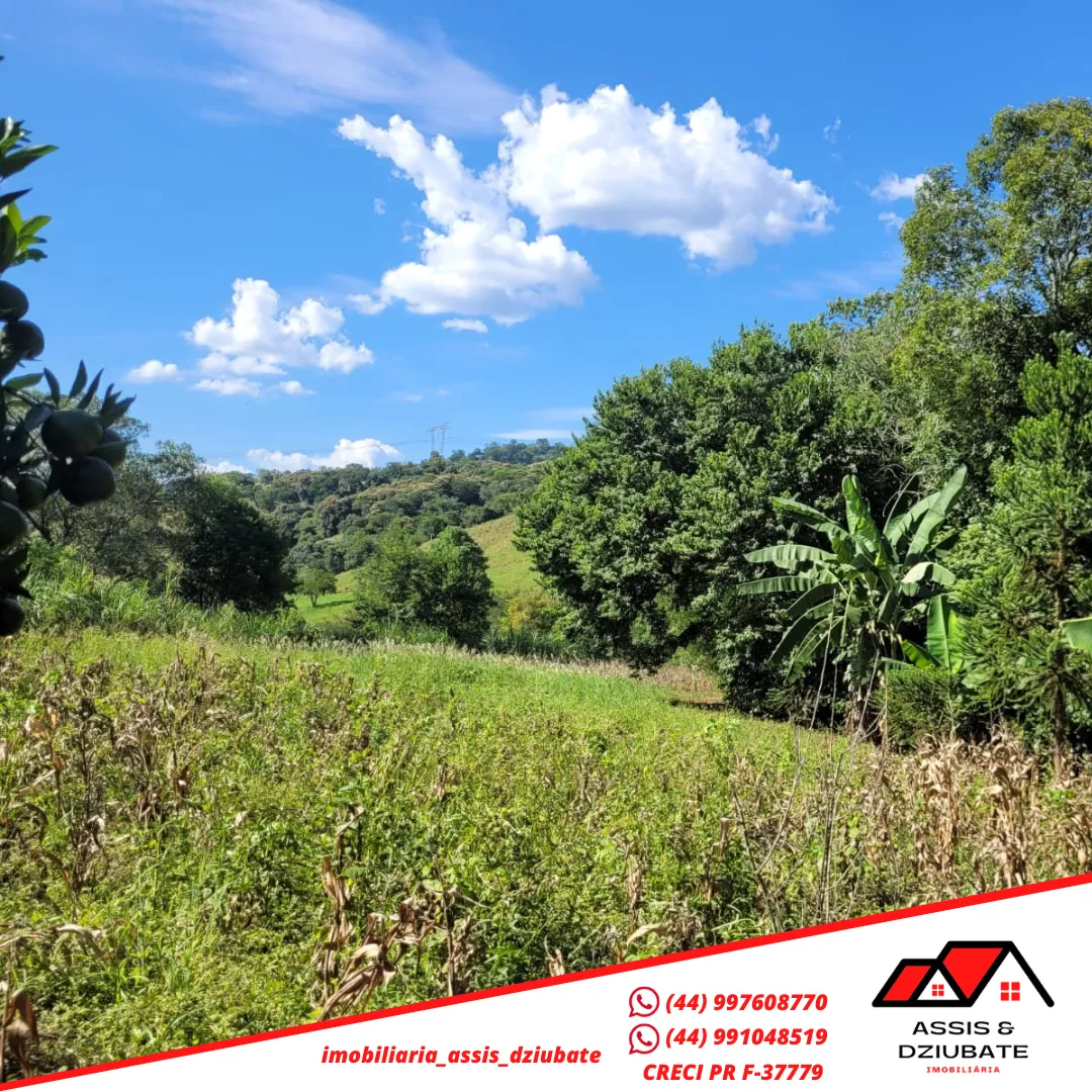 Ótima oportunidade de Chácara a venda em Iretama-PR!! — foto 8