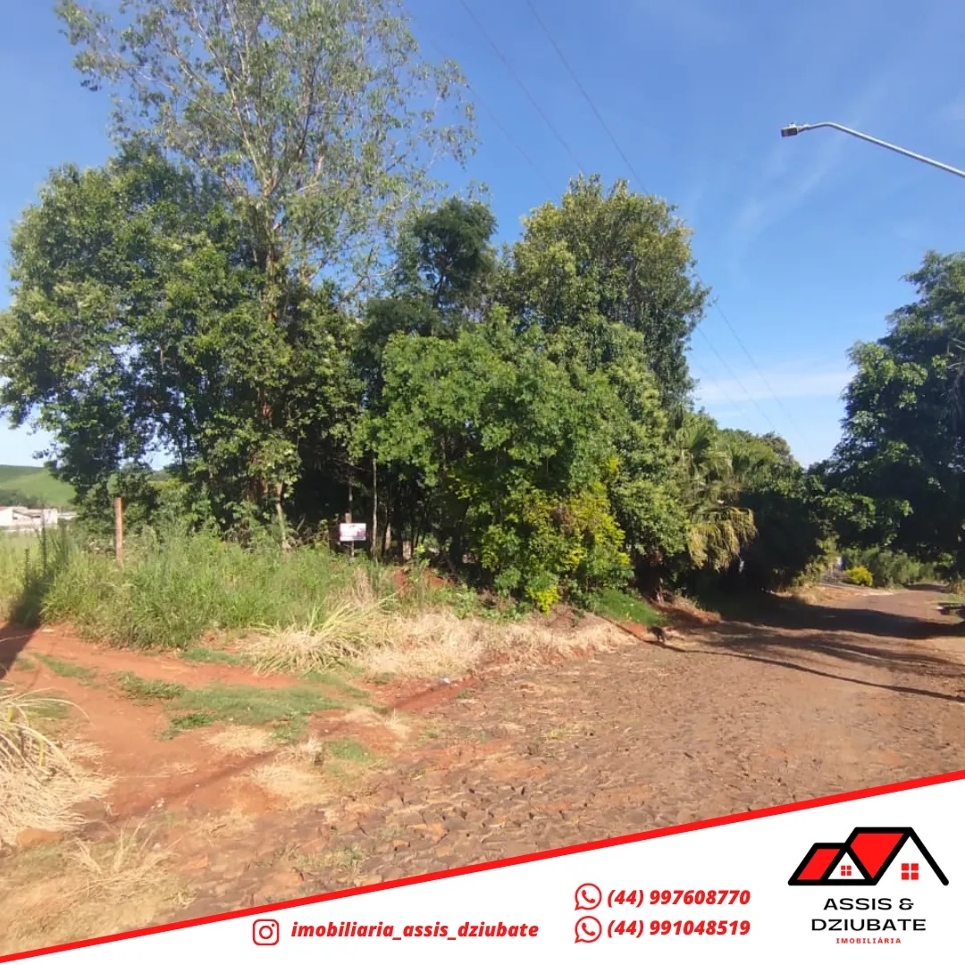 Chácara a venda em área central de Iretama !! — foto 4