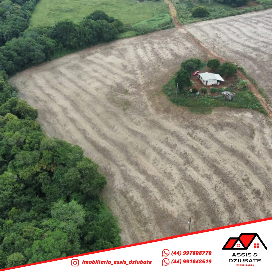 Ótima oportunidade de Sítio a venda em Iretama-PR!! — foto 8