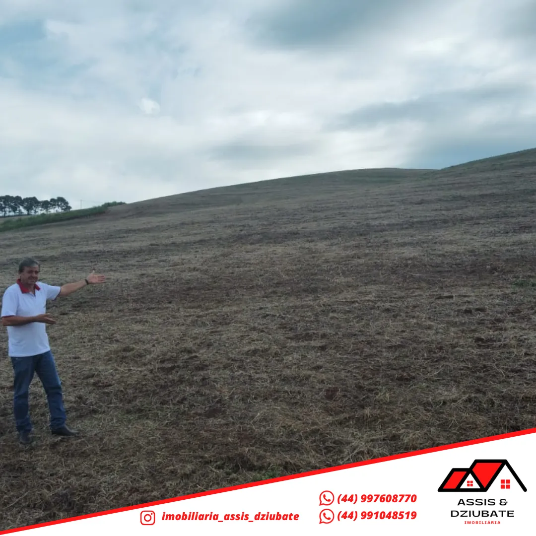 Ótima oportunidade de Sítio a venda em Iretama-PR!! — foto 3