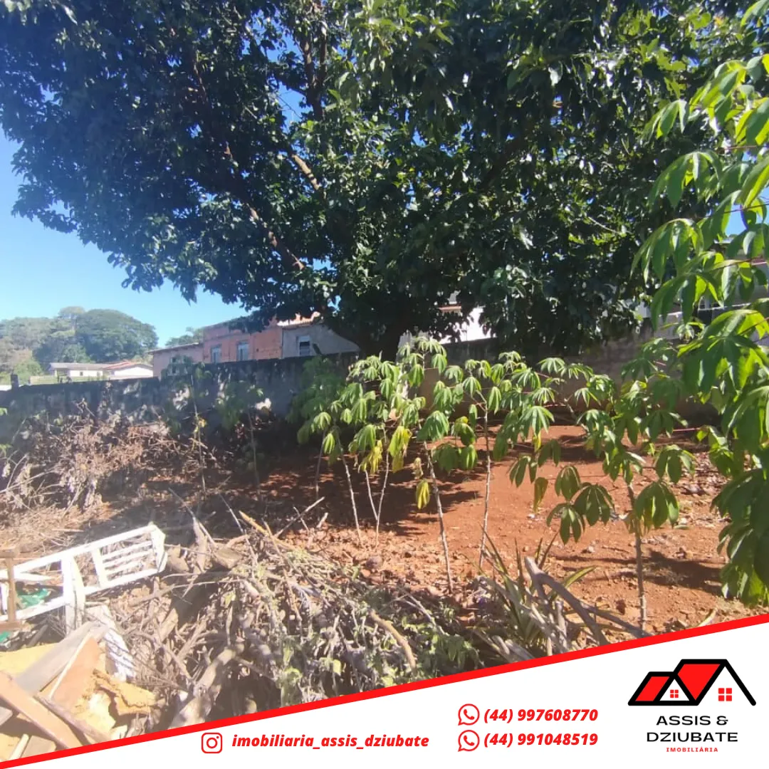 3 TERRENOS A VENDA EM IRETAMA!!! — foto 6