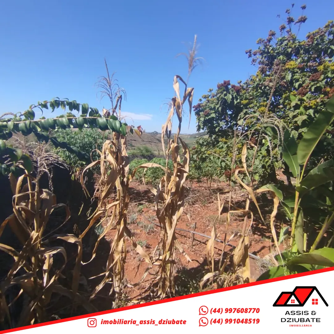 3 TERRENOS A VENDA EM IRETAMA!!! — foto 4