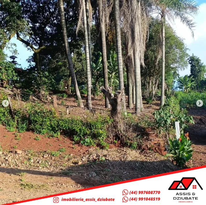 Terreno a venda em Nova Tebas!! — foto 4