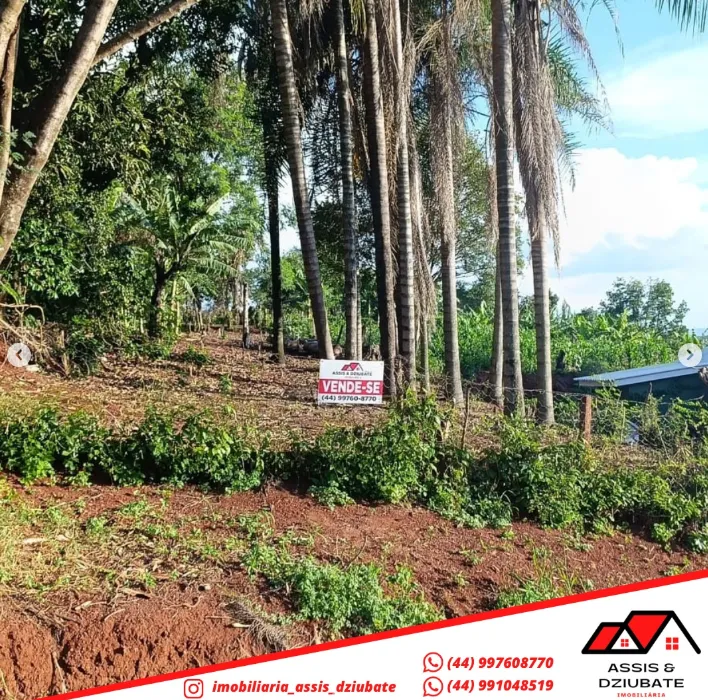 Terreno a venda em Nova Tebas!! — foto 6