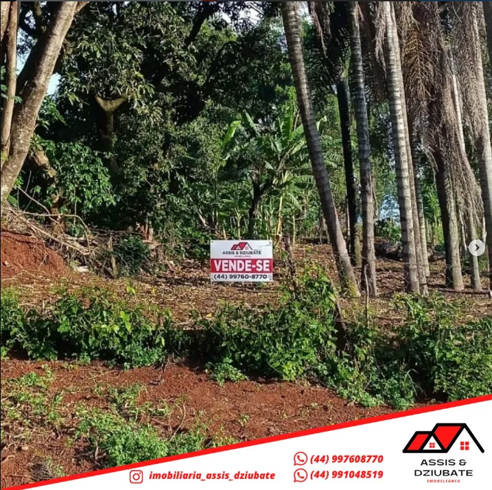 Terreno a venda em Nova Tebas!! — foto 2