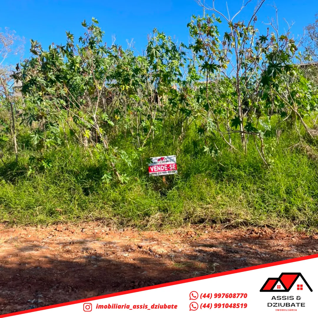 Terreno a venda em Iretama!! — foto 6