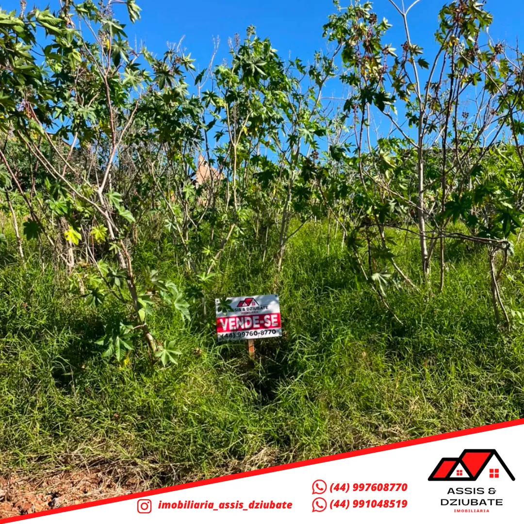 Terreno a venda em Iretama!! — foto 4