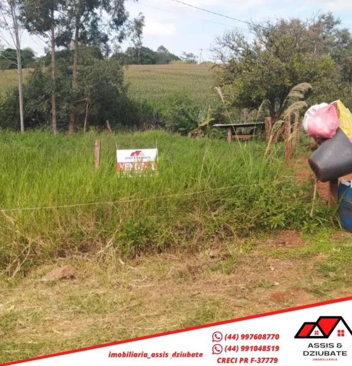 Terrenos a venda em Nova Tebas! — foto 2