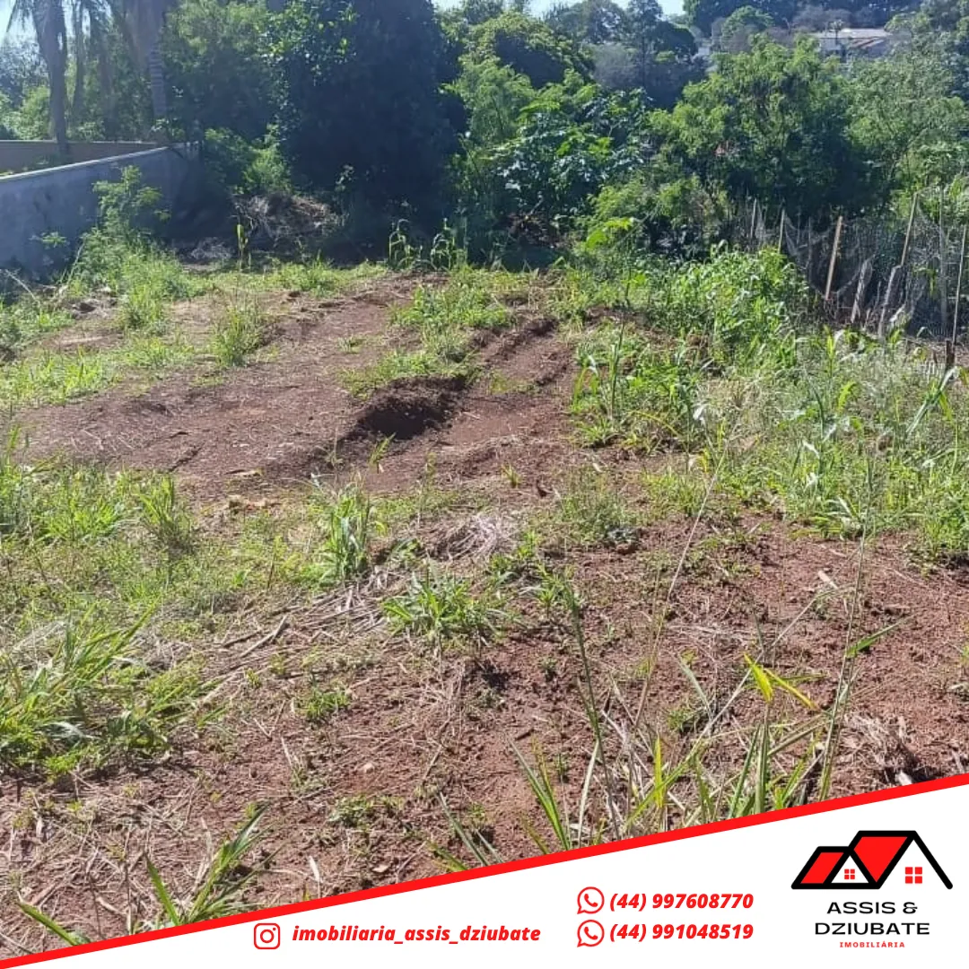 Terreno a venda em Iretama !! — foto 2